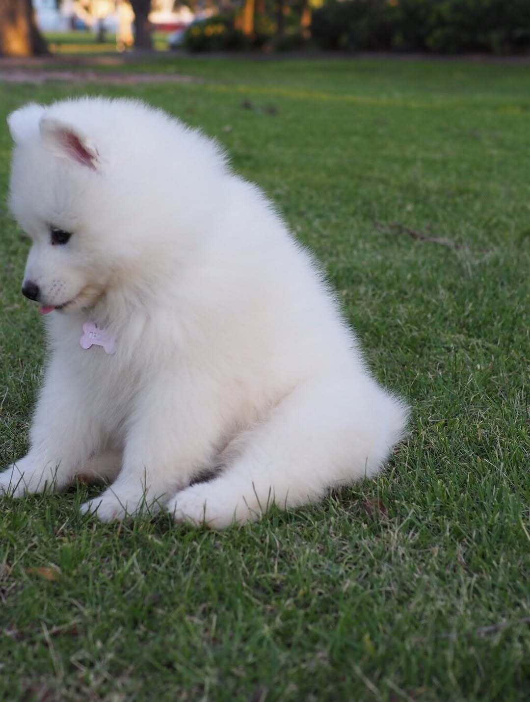 为什么放寒假了，妈妈反而愁眉苦脸的耶，她难道不想我每天粘着她吗