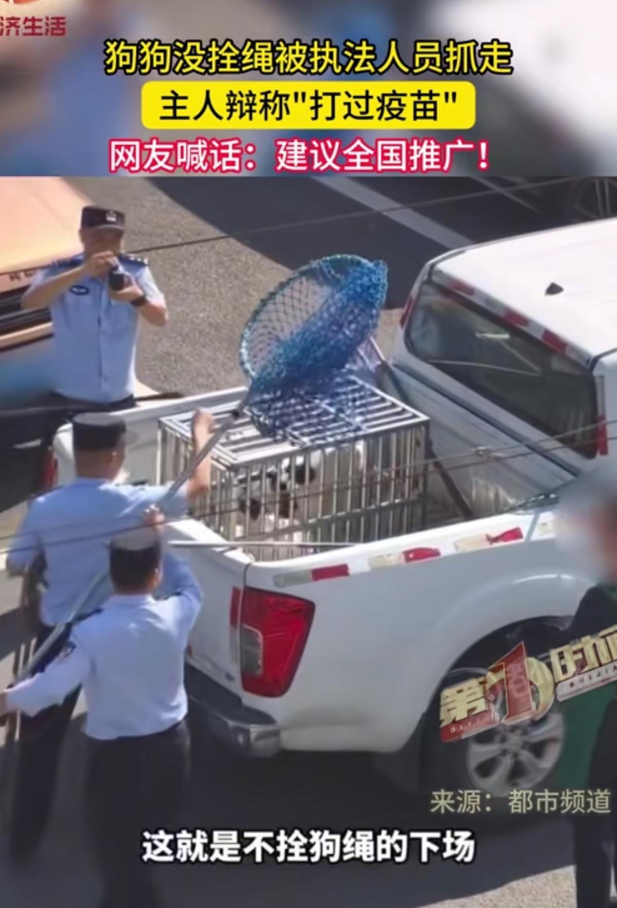 苏州这次对街头不牵绳狗的整治，下手是真的狠，直接放出话来：不管啥品种，只要不牵绳