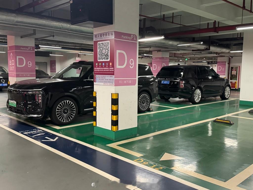 出差偶遇路虎大哥，一起停一个背靠背。看看“陆家嘴揽胜”跟真正的大虎子，气场比如何