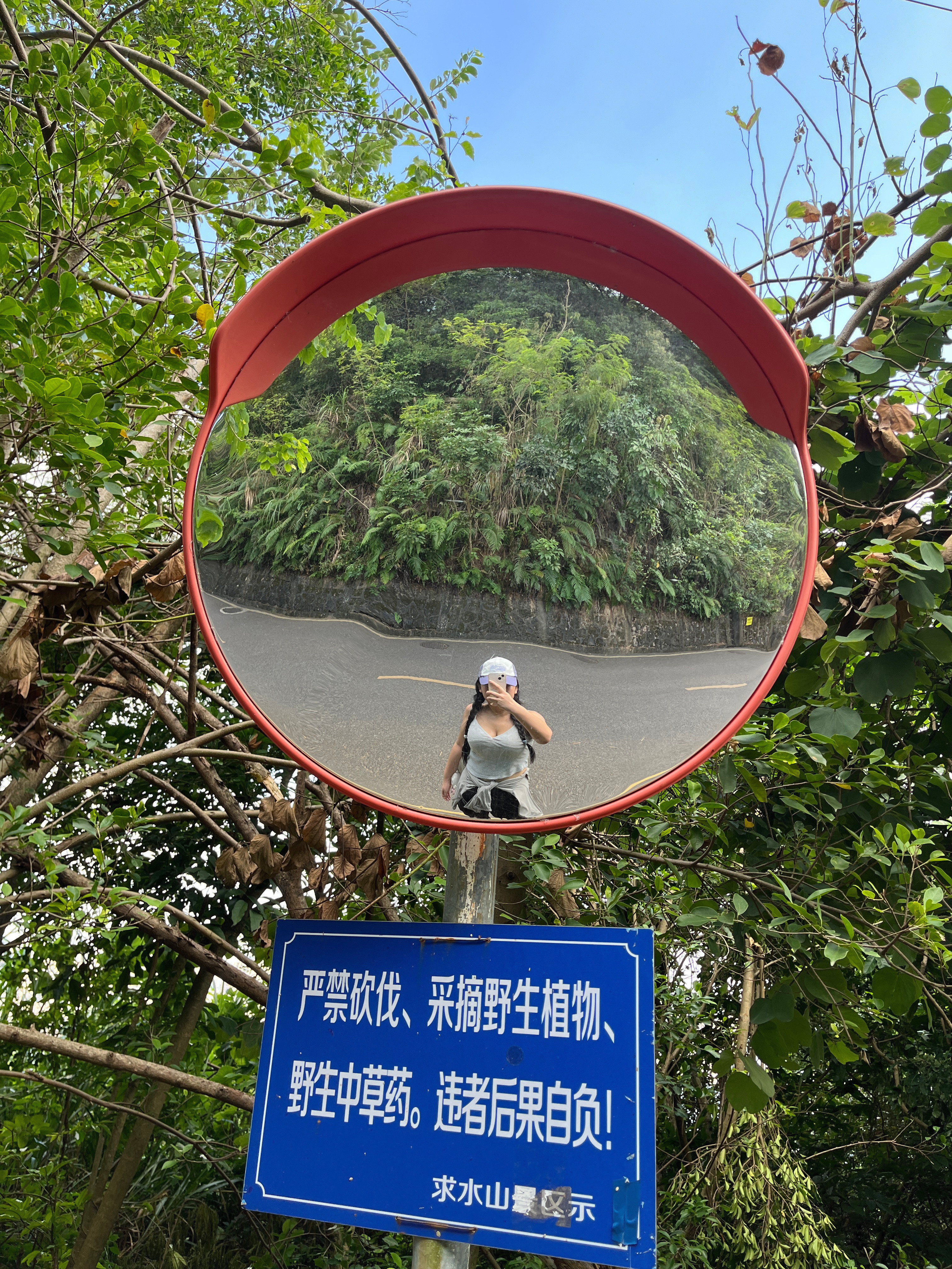 真的很爱爬山​​​