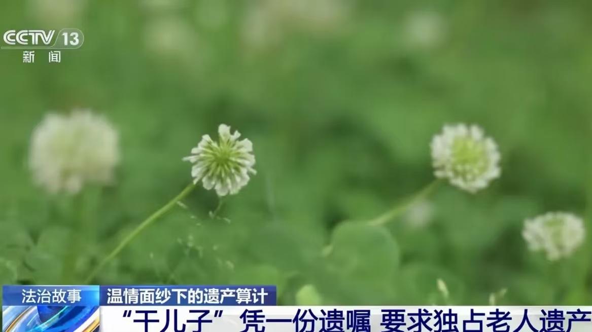 91岁老太将房产存款全部留给干儿子，死后骨灰却被撒荒山。上海长宁，老太有4个子