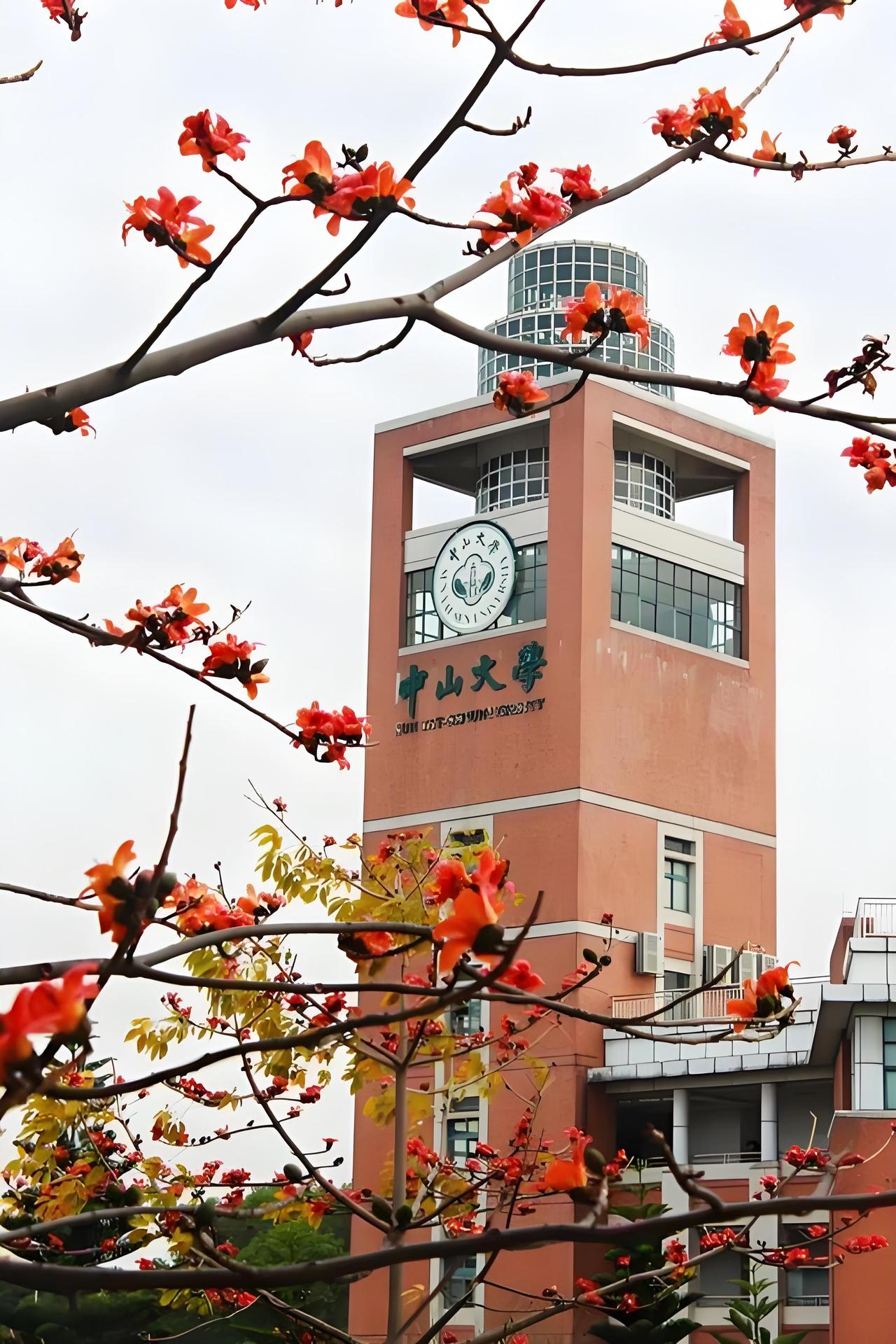 首破7800！中山大学2027硕士扩招87人，计算机技术专业热度登顶！第一，从