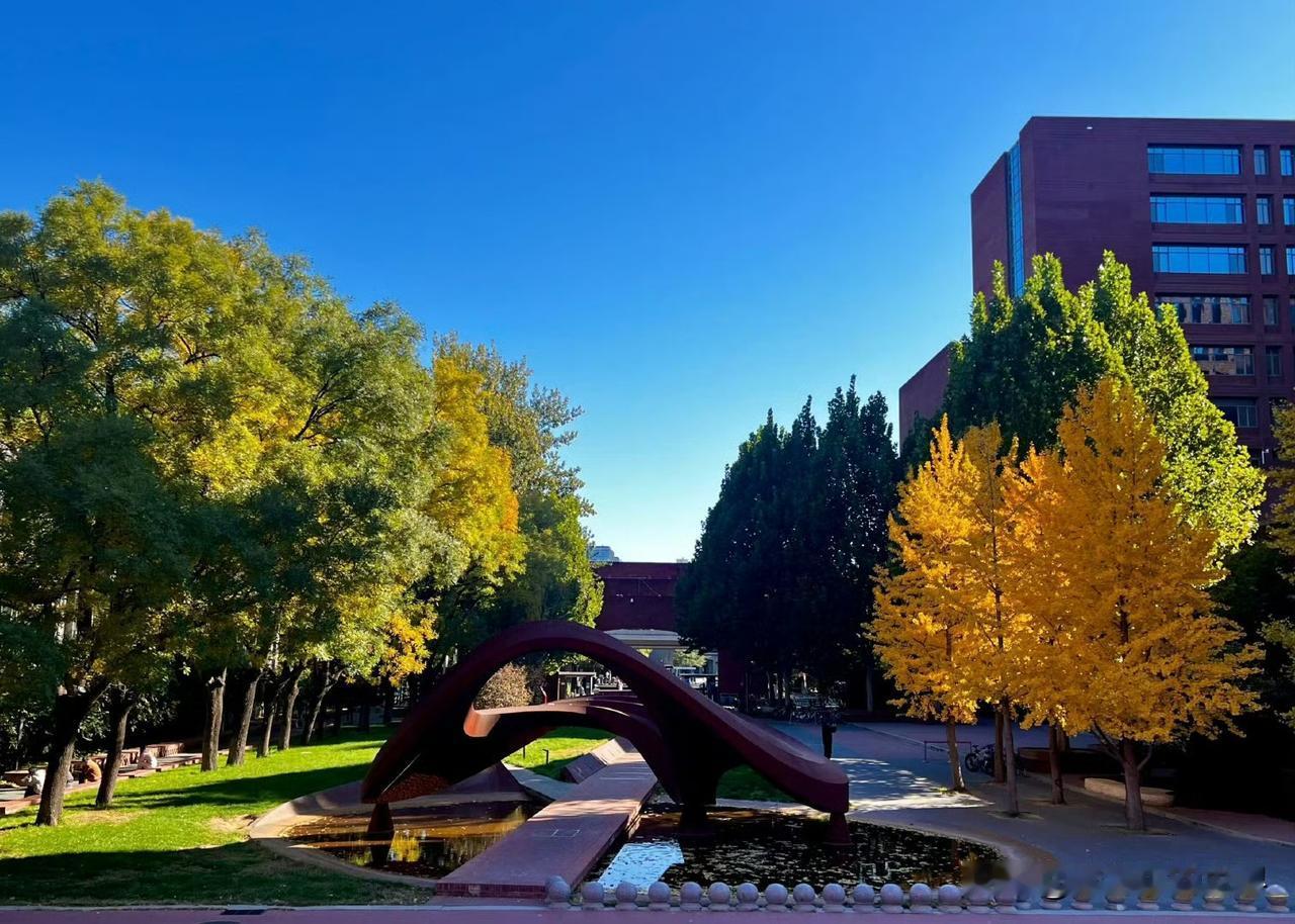 大龄剩女之所以会剩，并不是因为她们不想脱单，而是她们想脱贫，还想带着家人一起脱贫