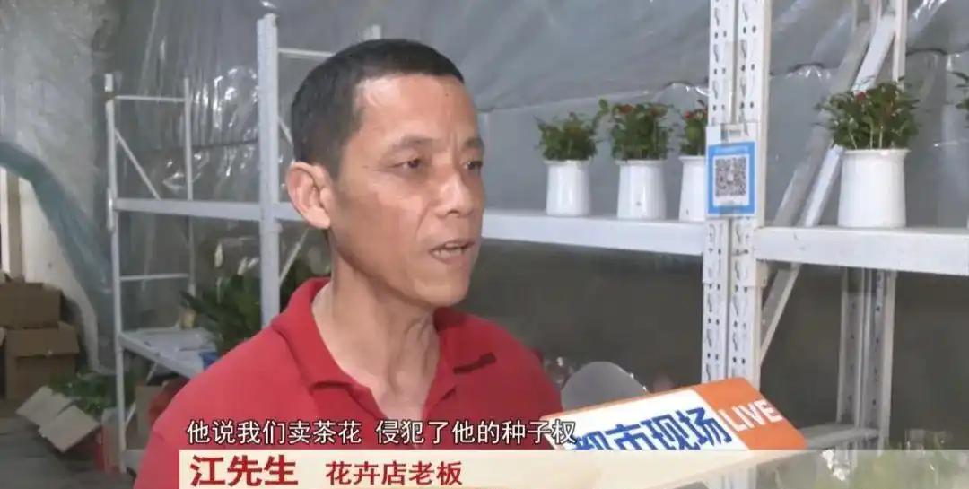 “一点办法都没有！”2025年5月，江西南昌，一位花店老板突然收到法院传票，被告