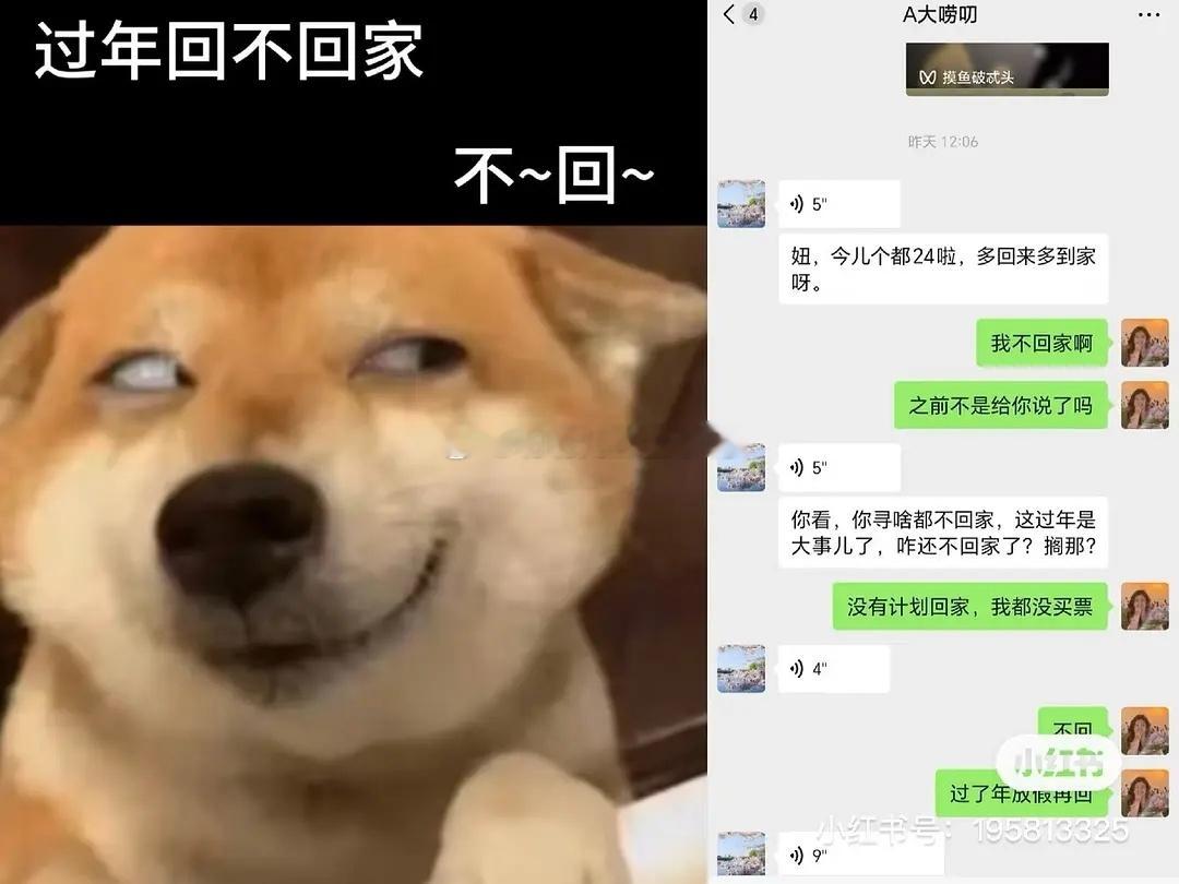 对回家过年PTSD了～