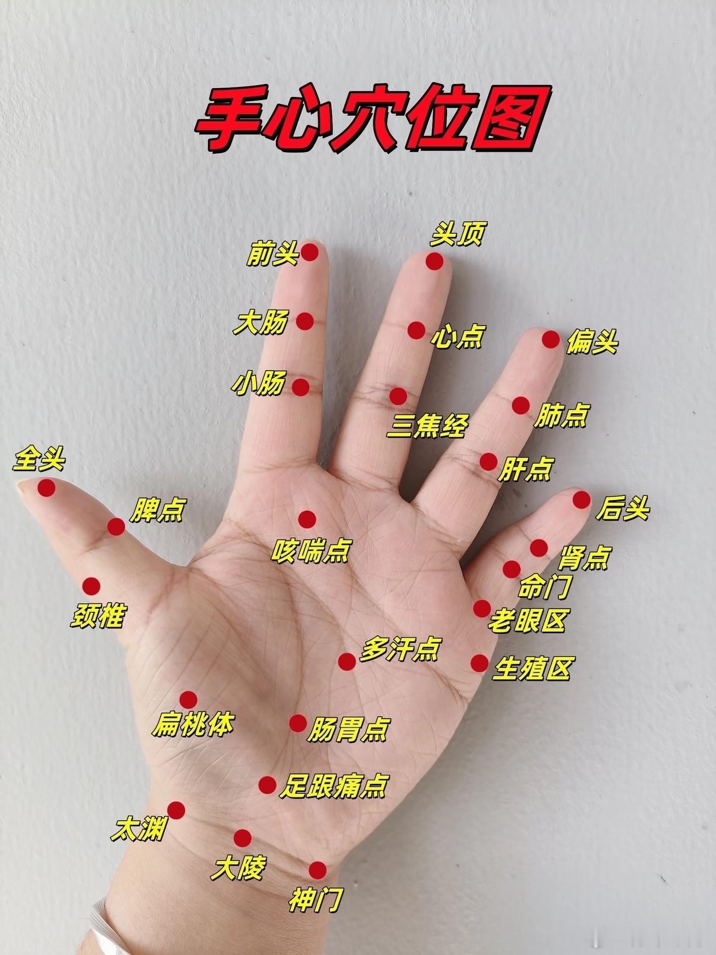 今天早上起来研究了一穴位，昨天又睡晚了一点，醒的也早，有点晕胸闷，按压一下左手无