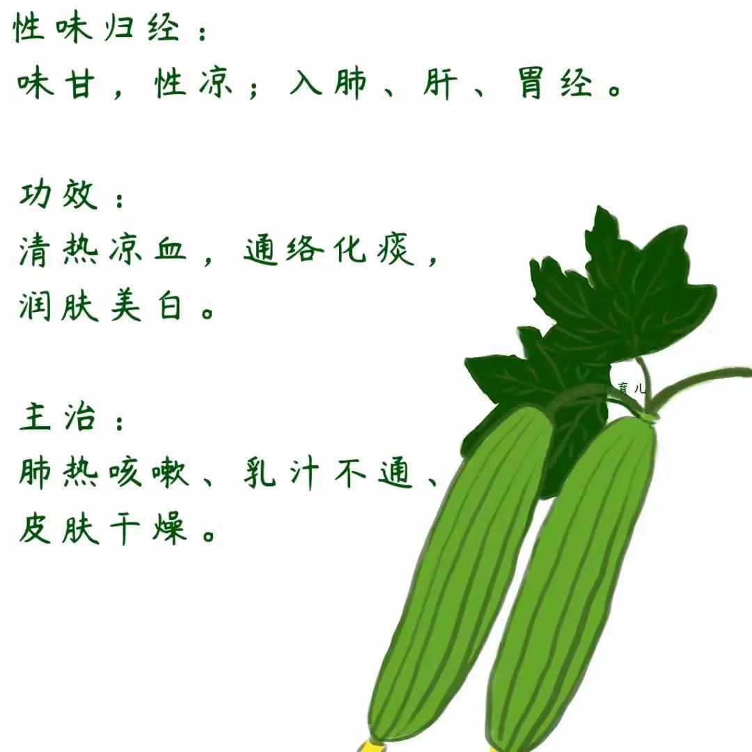 清热、凉血、化痰《本草纲目》记载:“丝瓜液有通经络，行血脉之功，用以洗面大去垢