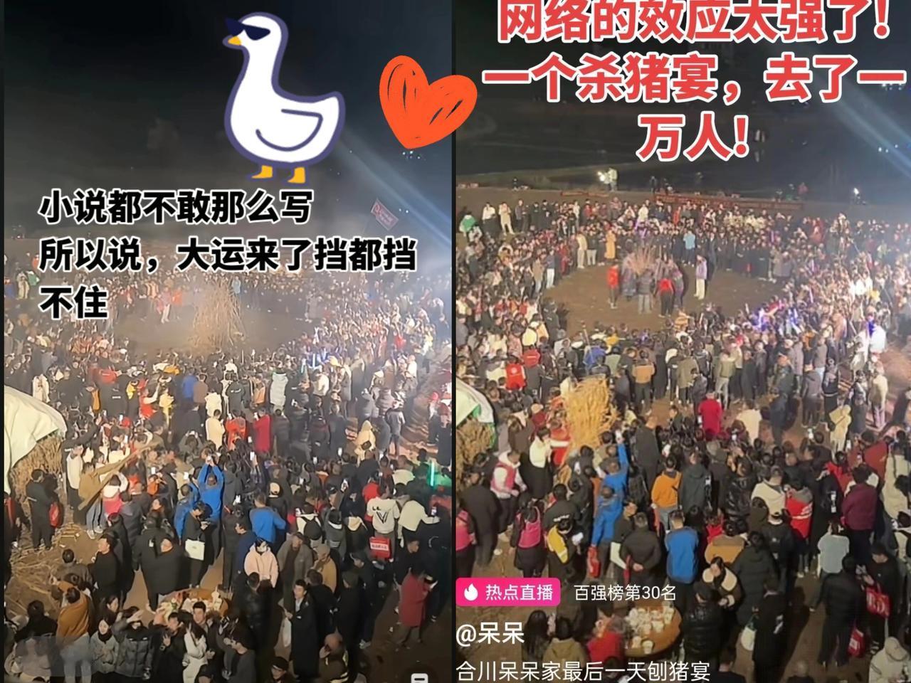 有个不好的预感，呆呆家的年怕是过不好了，细心的人肯定已经发现，3天前呆呆粉丝