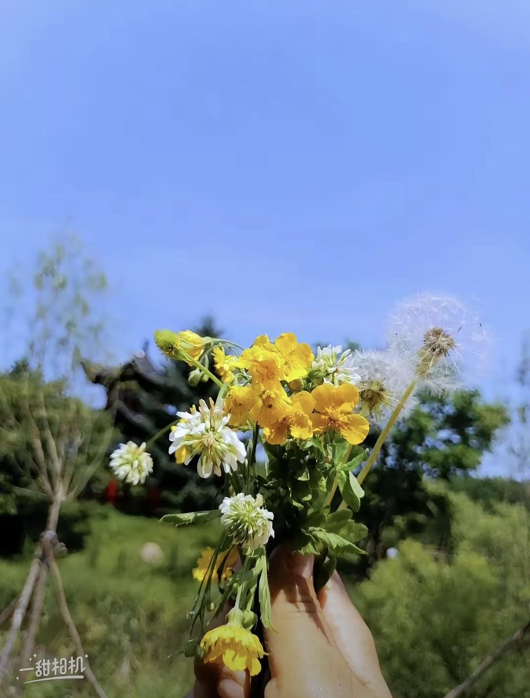 我爸妈都退休了，加起来一个月能领六七千。每个月我妈就从卡里取三千出来当生活费，剩