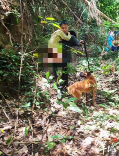 奇迹发生了！广东肇庆，11岁智力发育迟缓男孩独自走进深山后失联，7000多亩林海