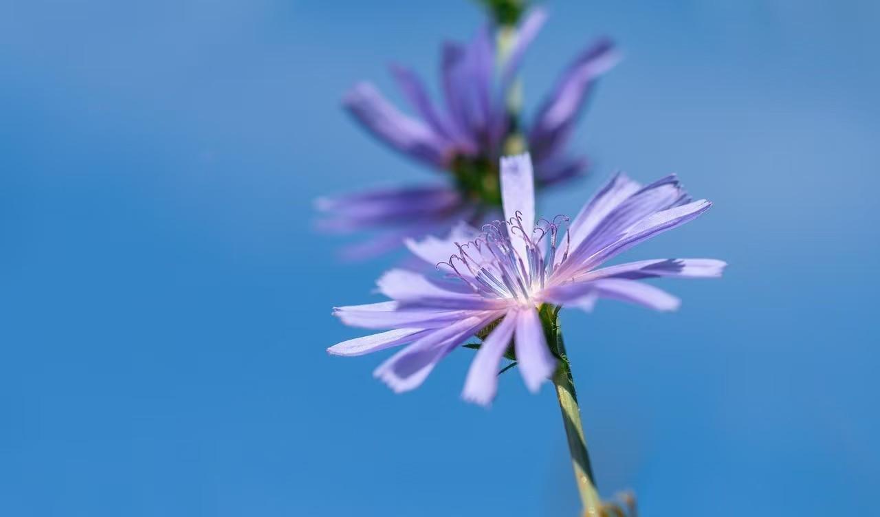 相亲男开口就问“是不是处女”，姑娘一句话回怼，网友：教科书级别的高情商周