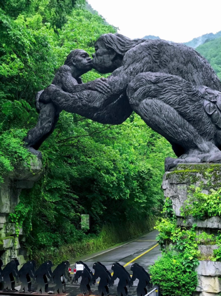 为什么禁止进入神农架深处？一位60多岁的巡山员告诉我：别看神农架拥有大量高等植物