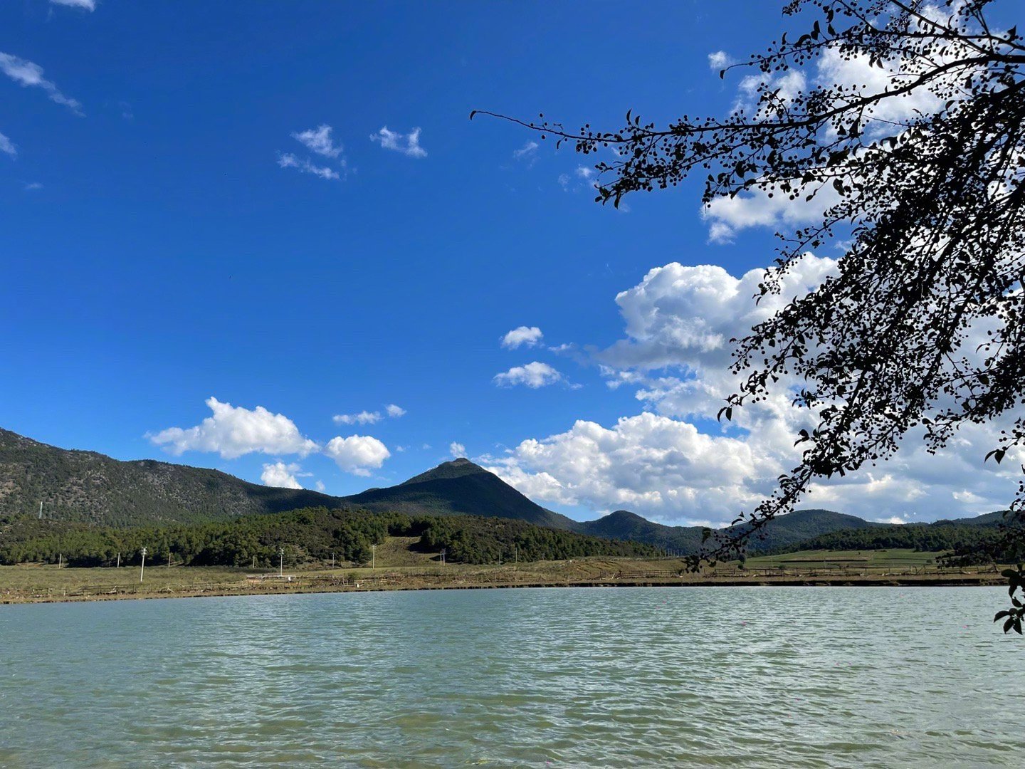 很多事情都需要前提条件。比如，人要首先历经一个破碎的自我，才具备了前提条件去整合