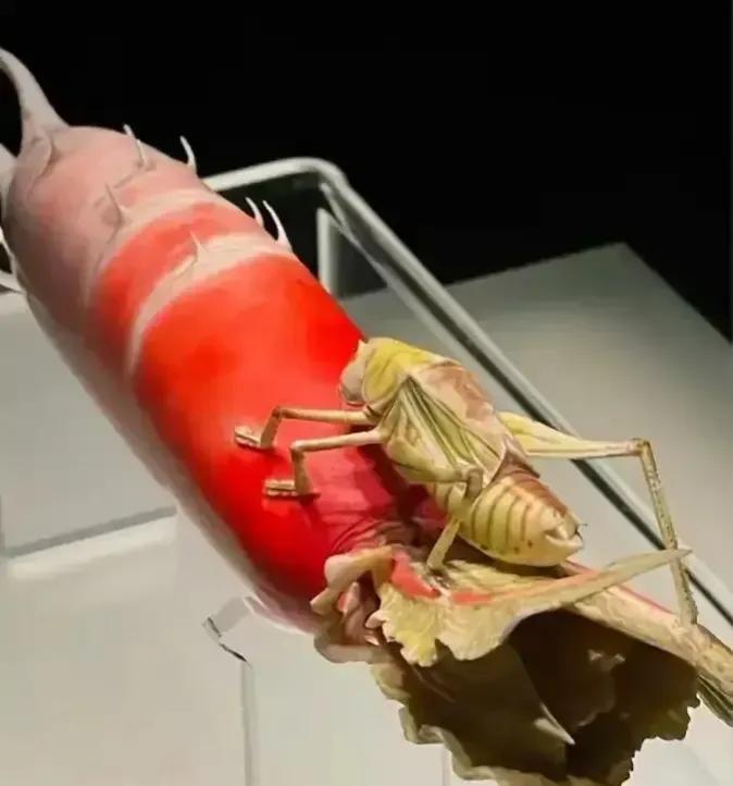 收废品的老汉蹲在河南乡下的院坝里，手里掂量着个黄澄澄的摆件。“一百块，你不卖