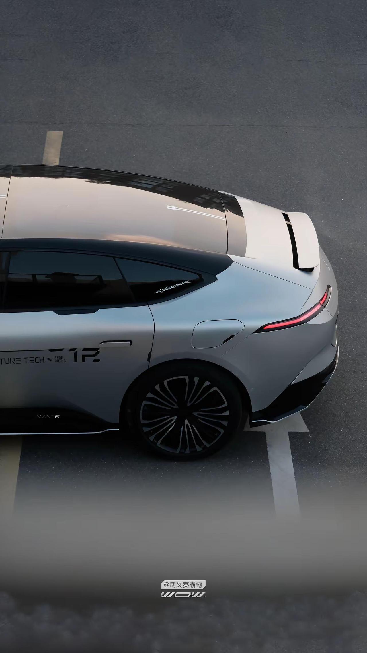 还型。阿维塔12葵霸原创拉花