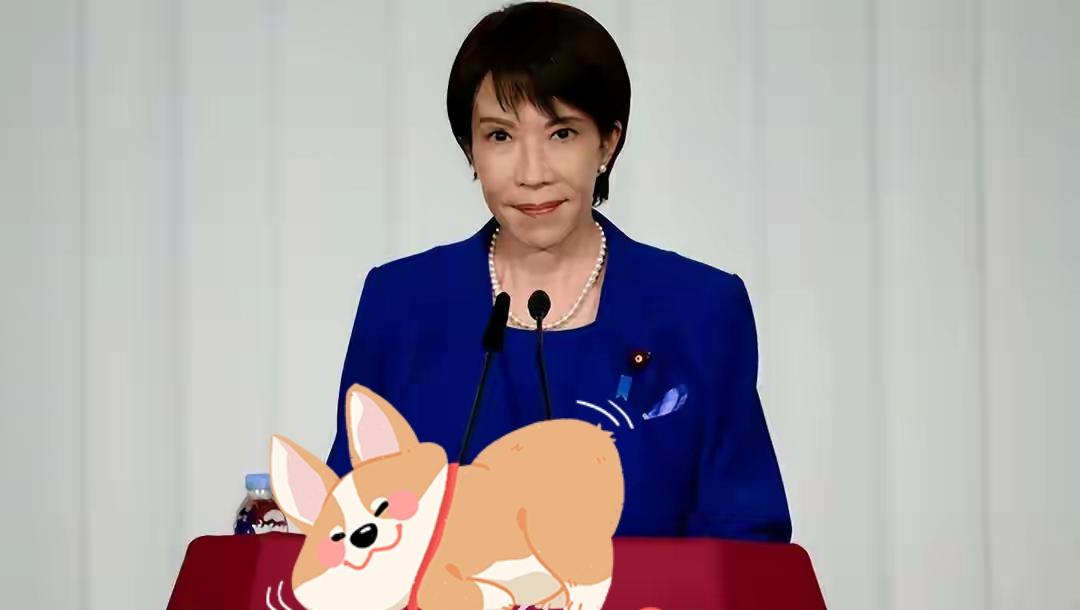 果不其然日本传来消息高市早苗遭石破茂、鸠山由纪夫批驳。中方多部门驳斥相关恶劣