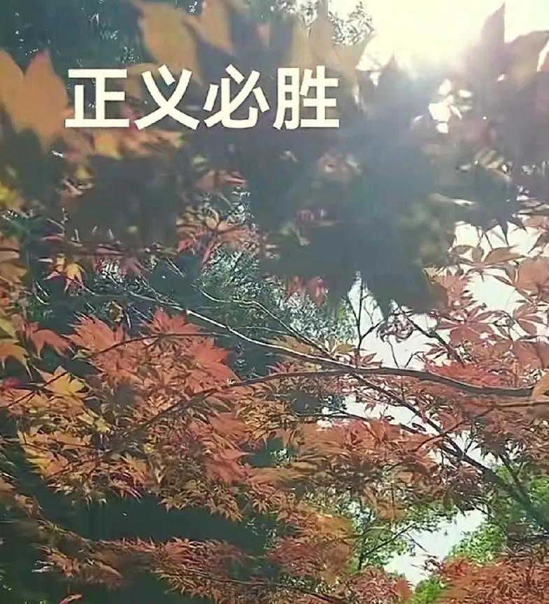 宽哥子喊出了“正义必胜的”口号。他口中的正义是什么？是比谁有能耐，一家人办
