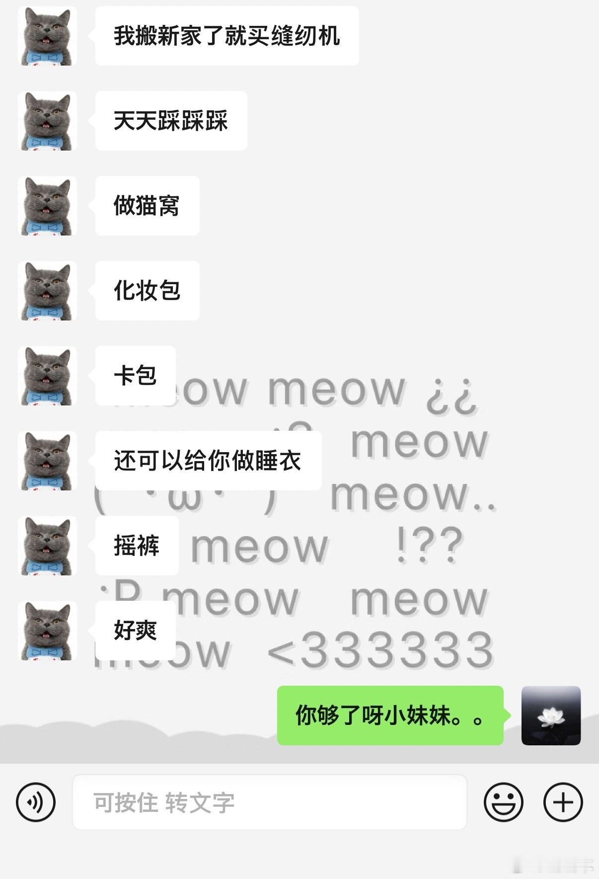 做摇裤儿我笑死了