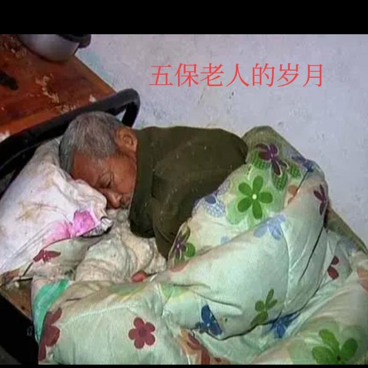 互保户的真实日子什么样？当前一股舆论热滚烫滚烫的，把五保户压制的快窒息。我邻