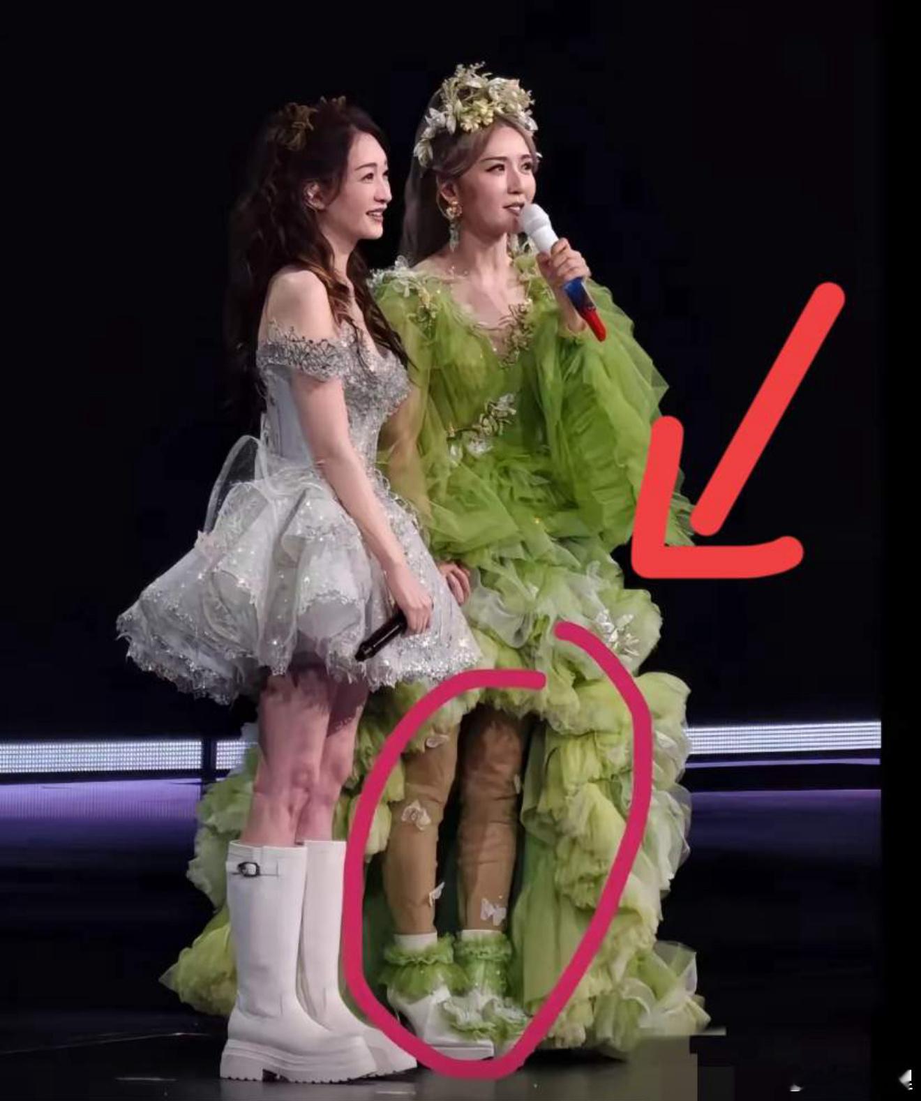 谢娜演唱会最大的败笔就是这条裤子，还不如光腿好看