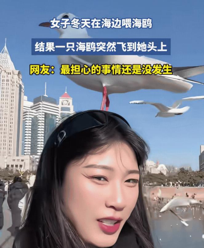 “最担心的事情还是没发生！”山东，一名女子去海边看海鸥，突然一只海鸥飞到女子的头