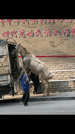 没有怜悯之心，老天看着呢