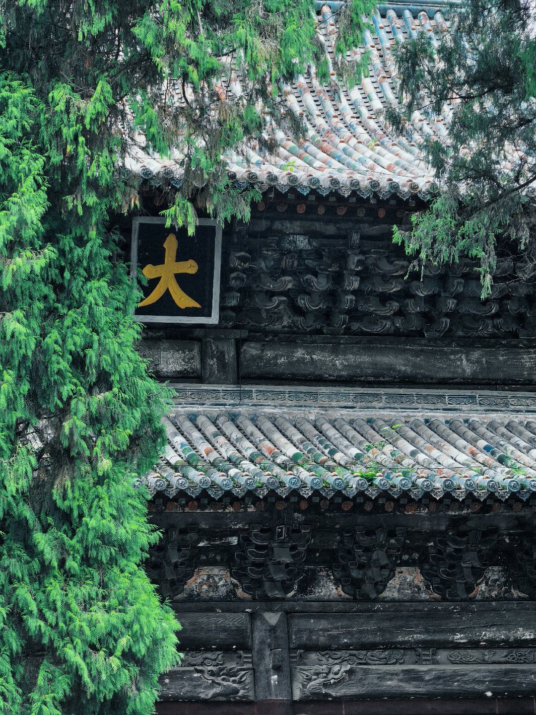 下午看了四川古建天花板，平武县的报恩寺。全部都是楠木，而且很多金丝楠木建的，最重要的地方是千年的金丝