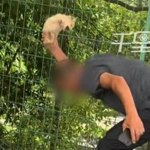 湖南长沙最近发生了件让人看了气得浑身发抖的事：有个狗贩被买家揭发卖病狗，居然当着