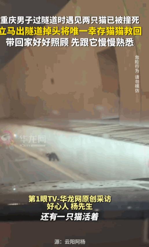 刻在骨子里的善良！重庆，一位男子在穿过一条幽暗的隧道时，两摊不起眼的血迹旁，躺着