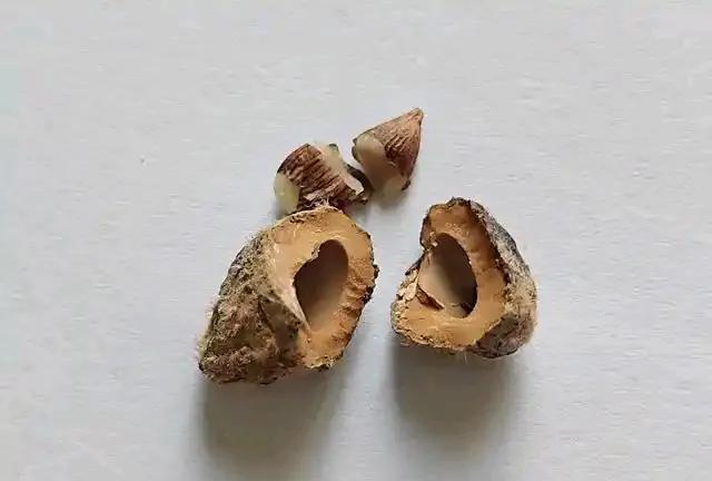 一方水土养一方特产，第一次知道杨梅核有用处，听浙江同事说，杨梅核，不要扔掉