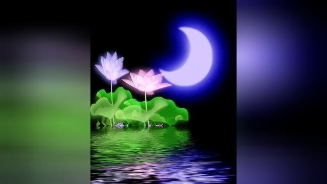 夜色简谱葫芦丝_赵海洋夜色钢琴曲简谱(3)