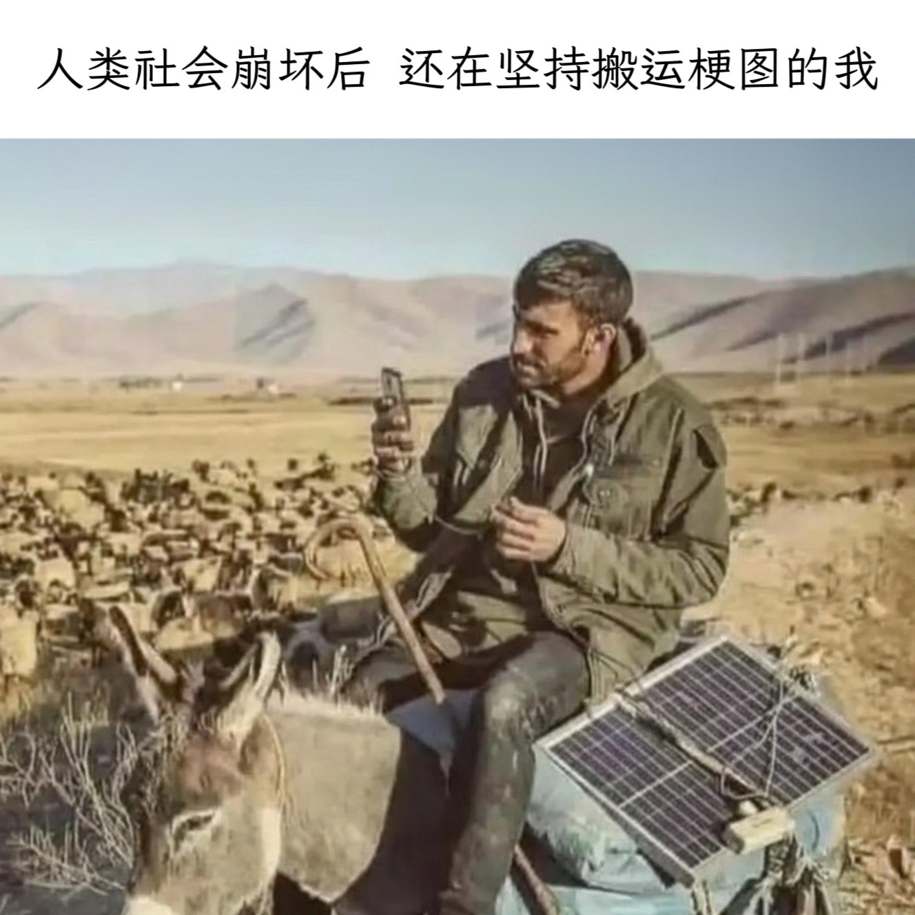 读书有这么用功memes