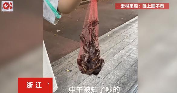“这简直是捡钱啊！”7月5日，浙江，一男子在家里午睡的时候，被树上的知了猴吵的睡