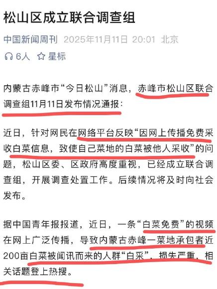赤峰白菜被抢事件的后续来了，这一切都是源于谣言。11月3日，网民黄某某为博取流