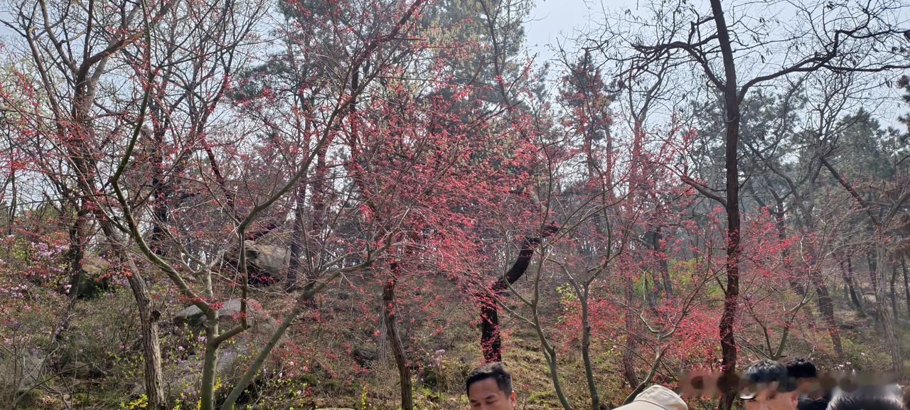 离职时才发现：能力比我差的那个同事，凭什么年薪是我的3倍？为什么同一批进公司