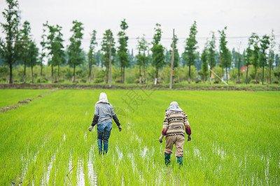 中俄粮食产量差距犹如断崖！俄罗斯年产1.28亿吨，中国多少吨？中国20