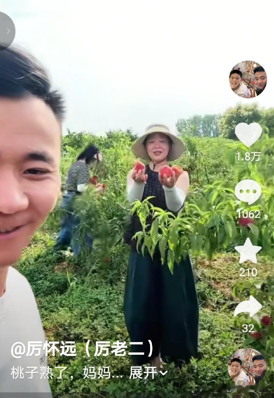 厉怀远更新动态，是在自己的果园里，还带着他的妈妈，二姨小姨，厉怀远说看着