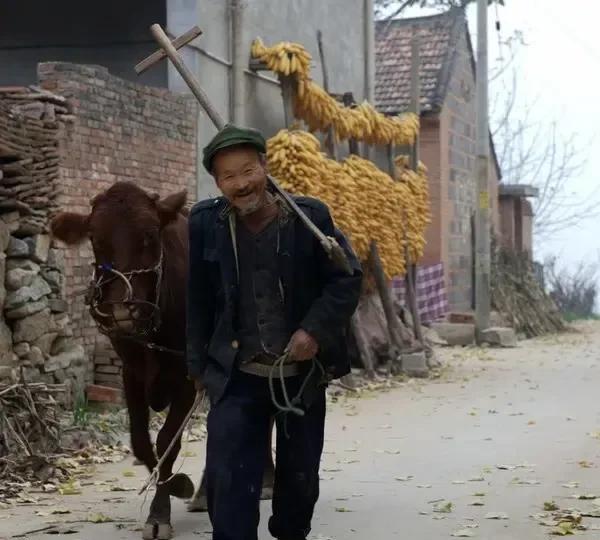 老家话，早上吃过早饭十点以后是。饭吧，中午十二点吃饭。上午了，到下午三