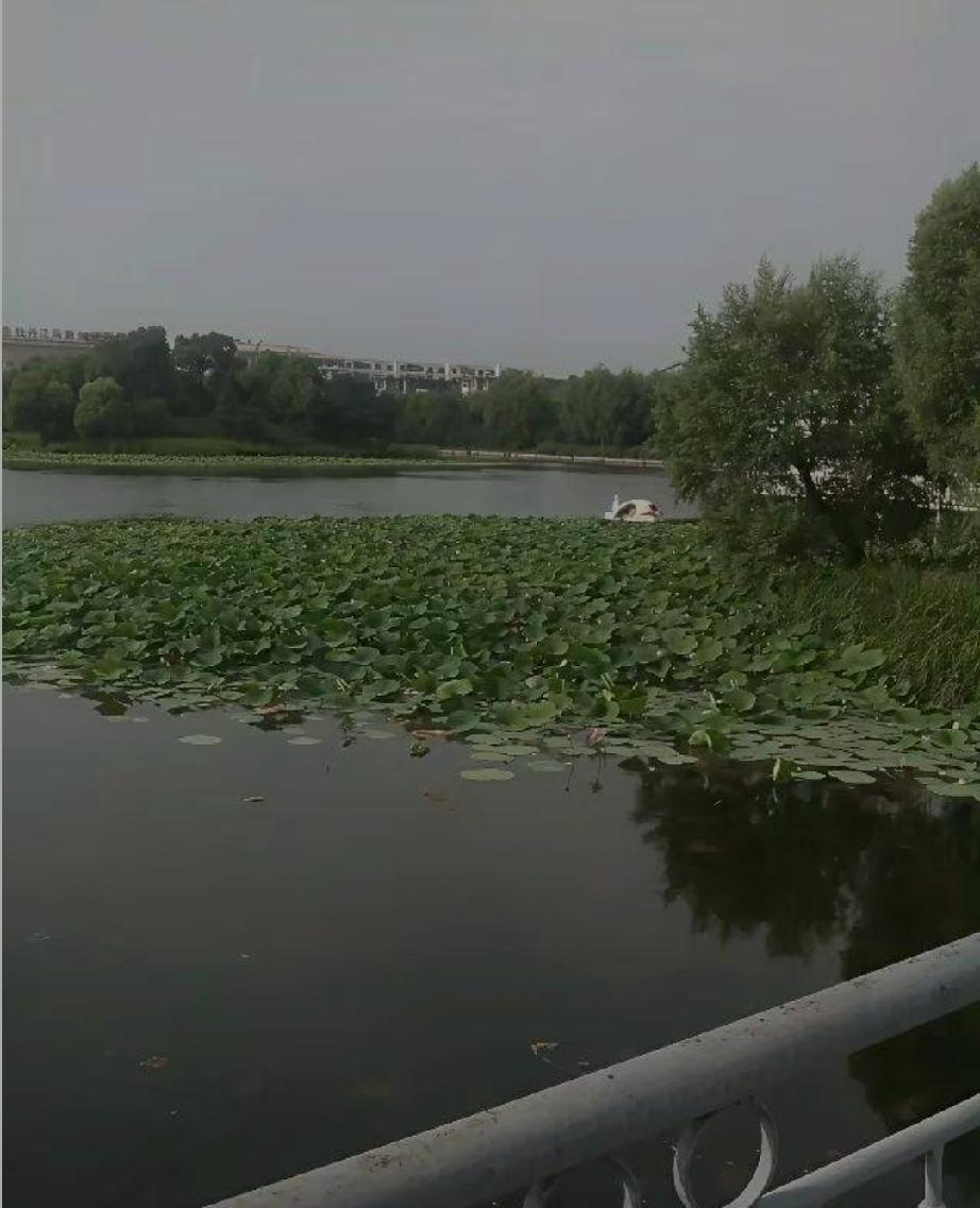 我有个男同事，没事就凑过来和我说，现在人可开放了，都找情人，两个人看着相互喜欢就