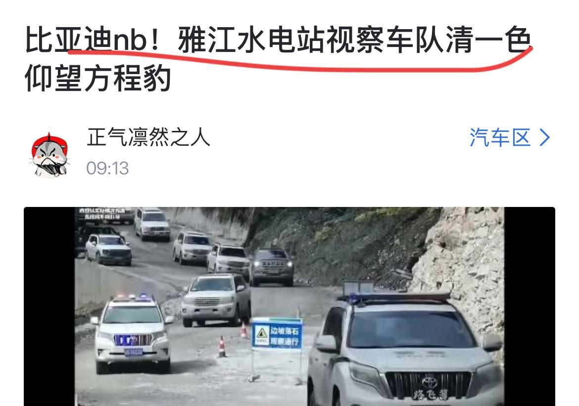 网友：“比亚迪牛批，雅江水电站视察车队清一色仰望方程豹！”就这位网友的言论，小