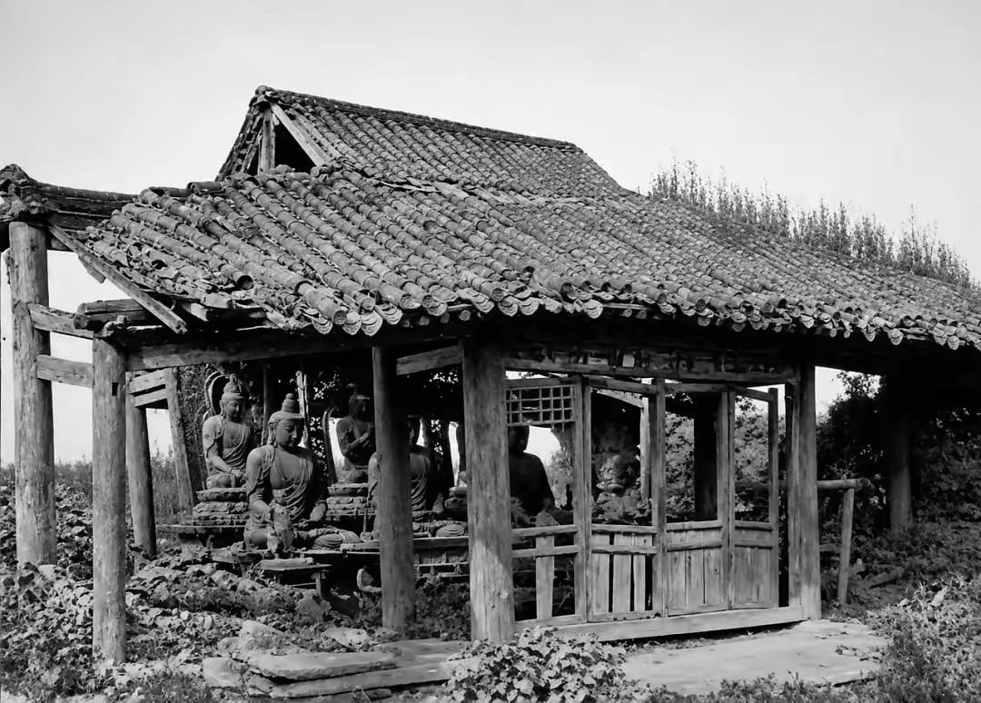 你敢信？一个美国富三代，100年前跑到中国，拍了5000多张照片。然后这些照片被