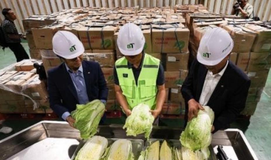 “中国要被我们拖垮了！”2024年，韩国上千人拒绝食用从中国进口的白菜，本想给中