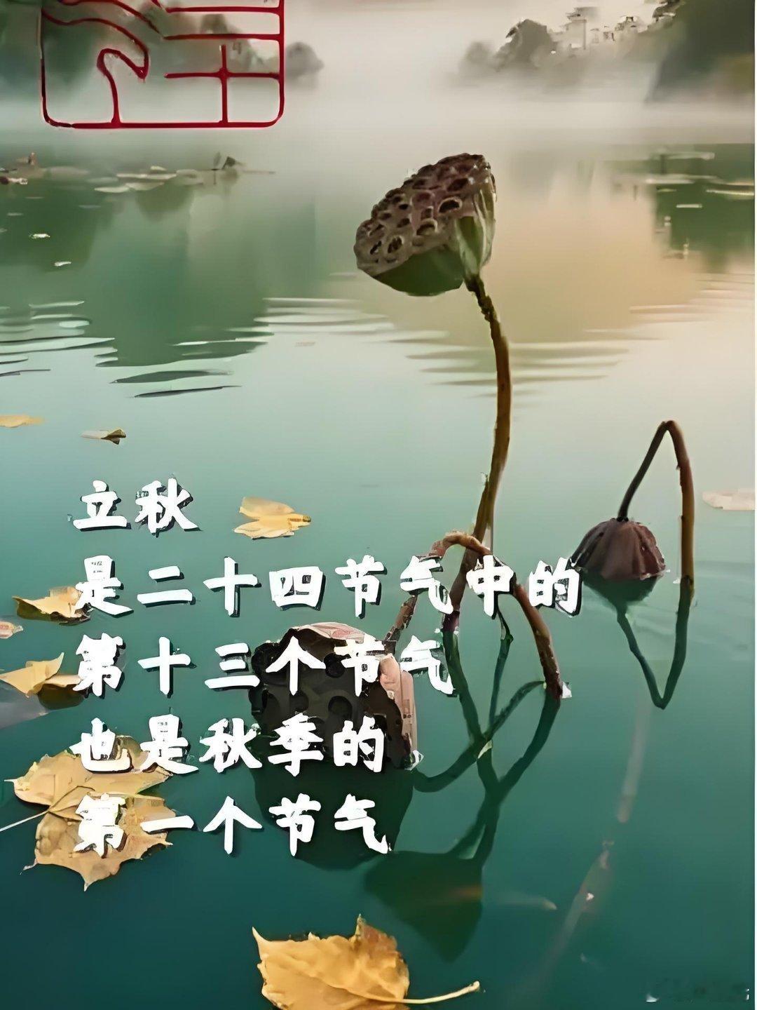 乙巳立秋题记：飘摇闰六雨蒙蒙，冷夜十三听蛙鸣。革言缘何未三就，莫非汤武在梦中。