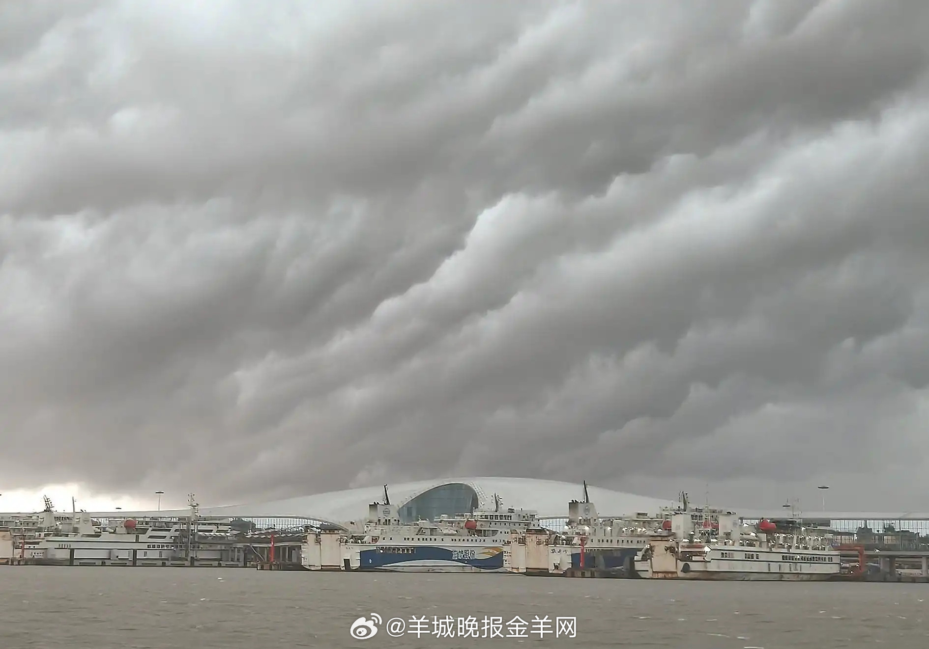 #台风韦帕##台风韦帕风雨时间表#【#湛江海事局启动防风Ⅰ级响应##琼州海峡客