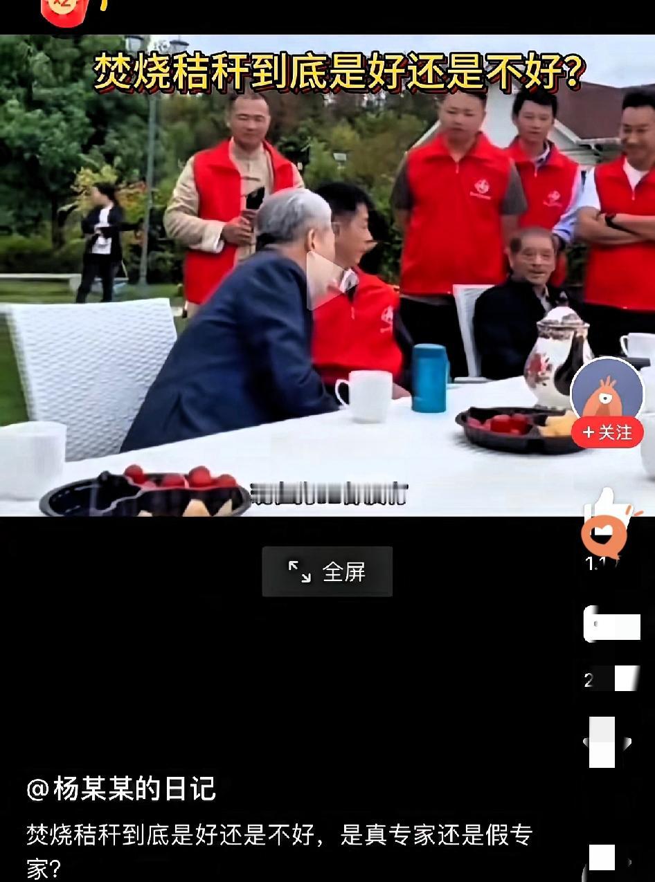 烧秸秆真的是环境杀手吗？二十年前的农村夏夜，星空璀璨、蛙鸣虫叫、鱼虾满沟渠，如