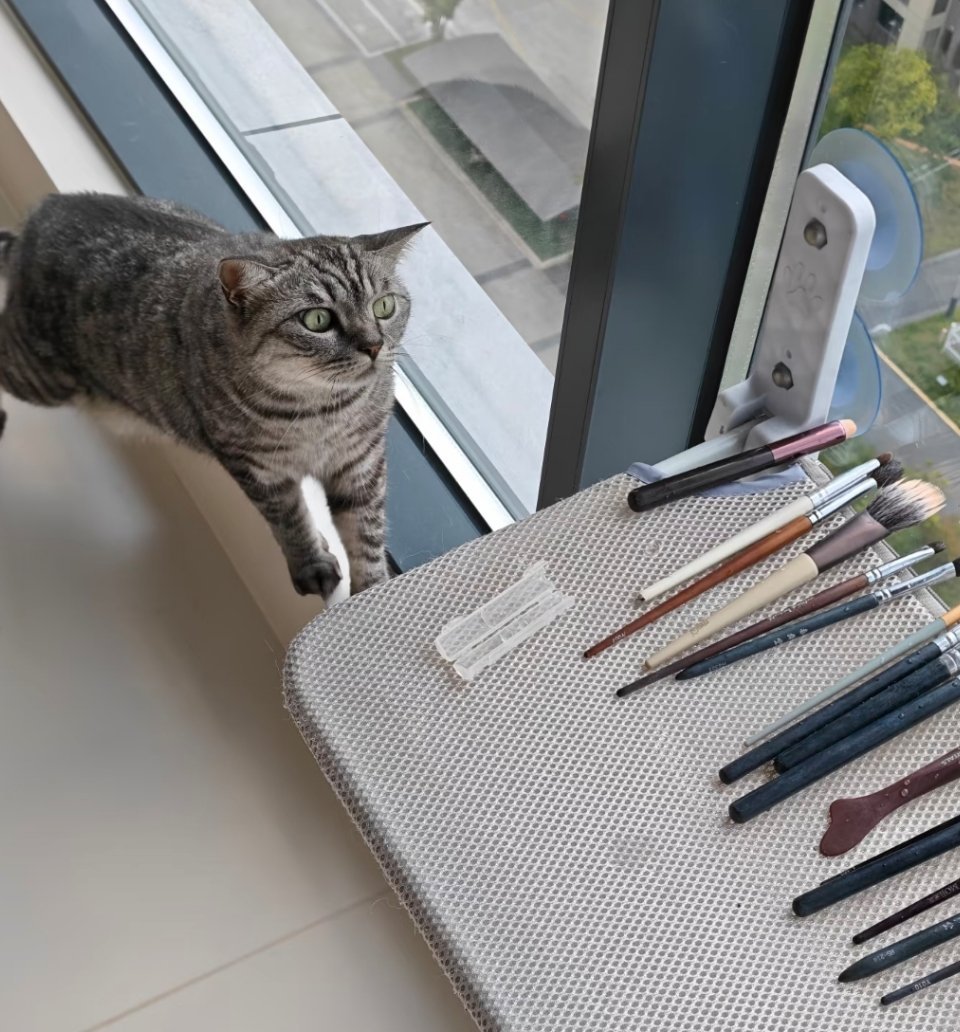未经小猫允许，擅自使用了猫猫床​​​