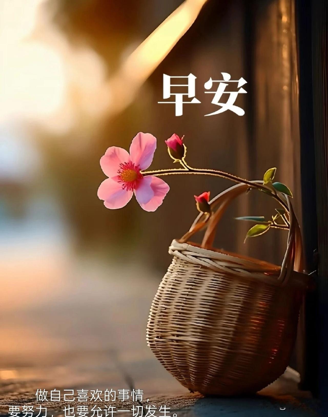 🍃☁️²⁰²⁶/₀₅.₁₆ᵕ̈明日，温柔可期☕️🍒🍊愿晚风拂去今日所有