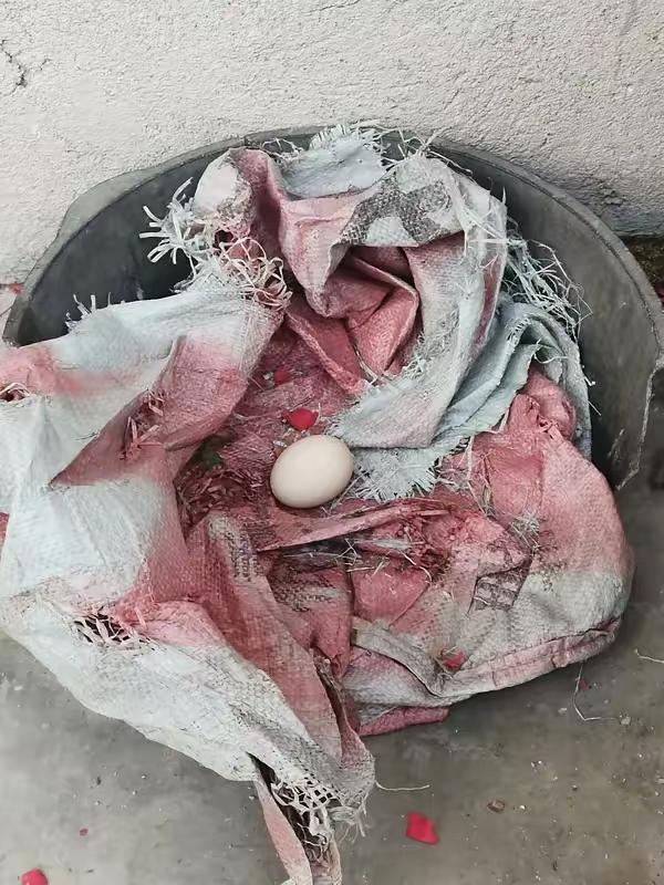 7个民间秘术，科学至今无法解释老辈人私下传了几十年的7个旺家小妙招，外面很