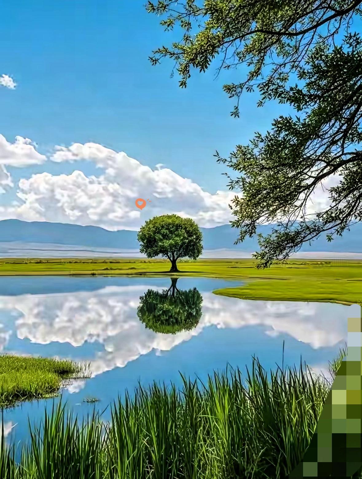 我是住家保姆，主人吃饭我从不上桌，但我不在厨房吃，也不在我自己房间吃，我不提前吃