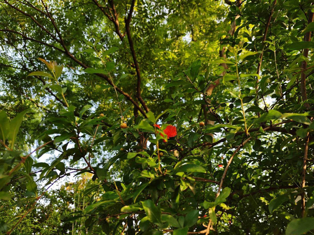 我的今日状态：😁轻松愉快我这里的天气：☀️晴天周天的西湖真是热闹非凡，群